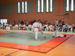 Image description